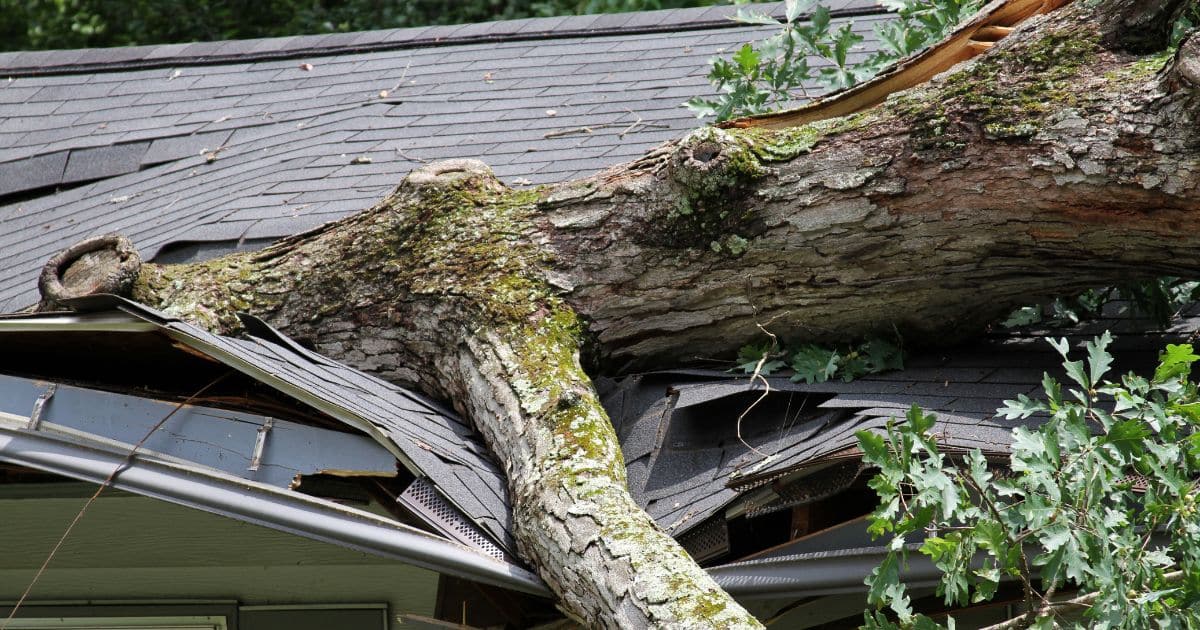 roof repair palm bay florida