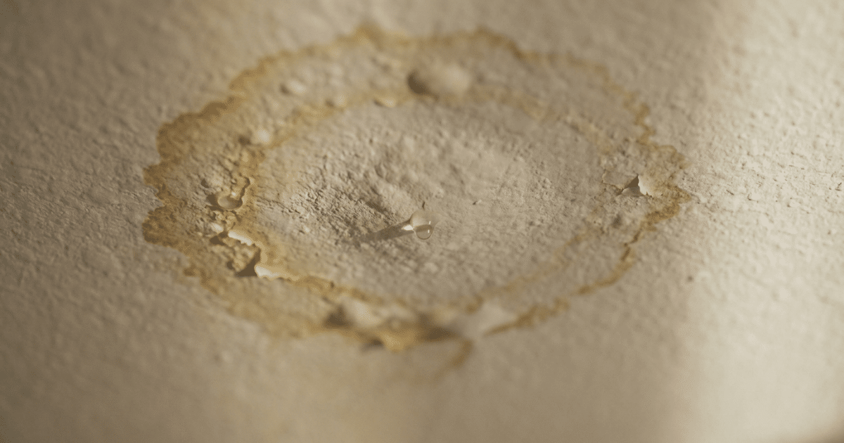 roof repair orlando fl
