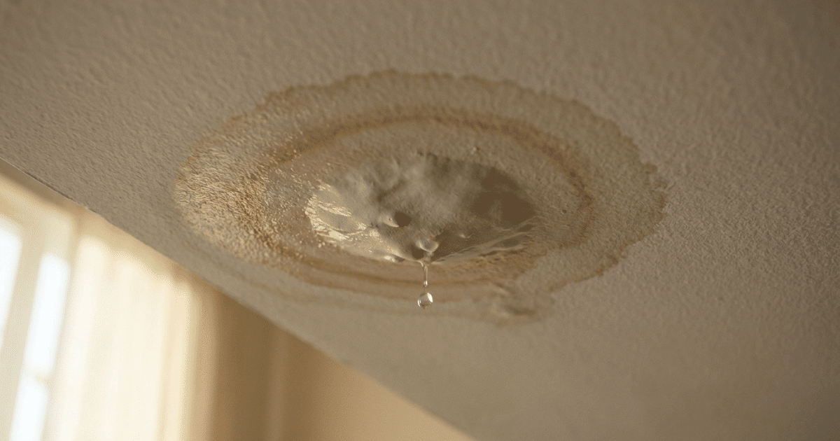 storm damage roof repair orlando